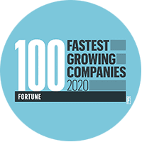 100 fastest growing companies 2020